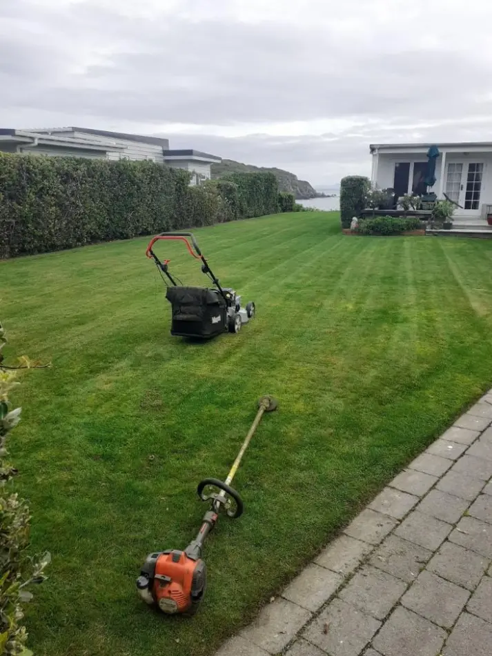 SJ Lawns tidy lawn job